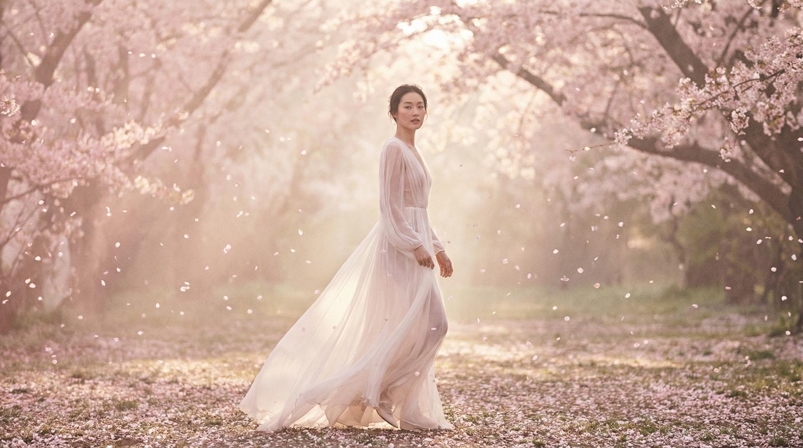 免费看片樱花季唯美视频